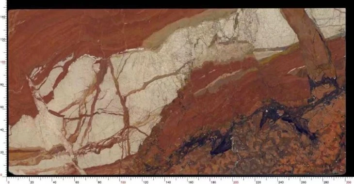 Breche Fantastique Marble Slab